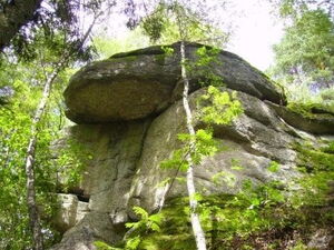 Granitblöcke im Wald